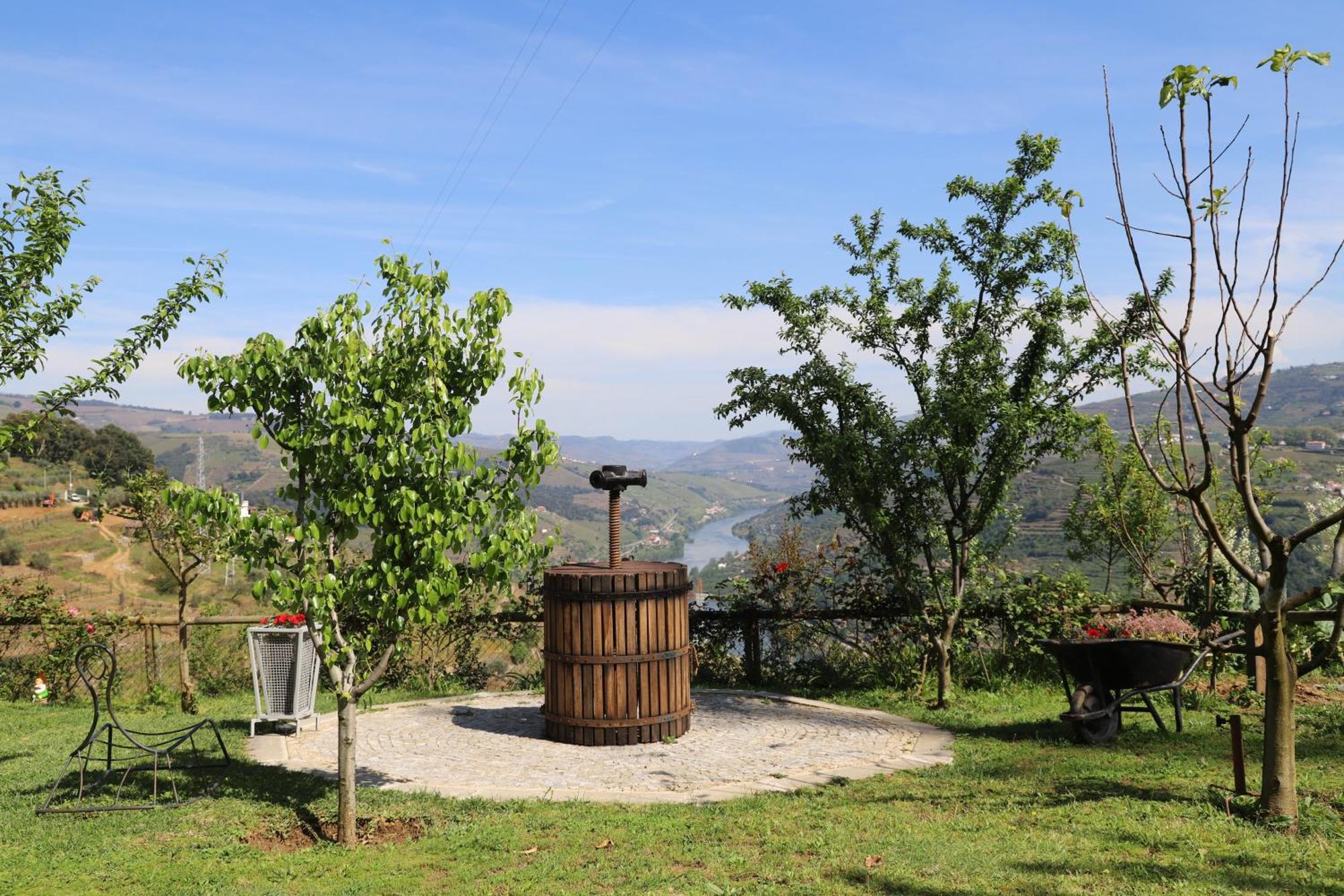 Bed and Breakfast Casa Vale Do Douro Мезан-Фриу Экстерьер фото