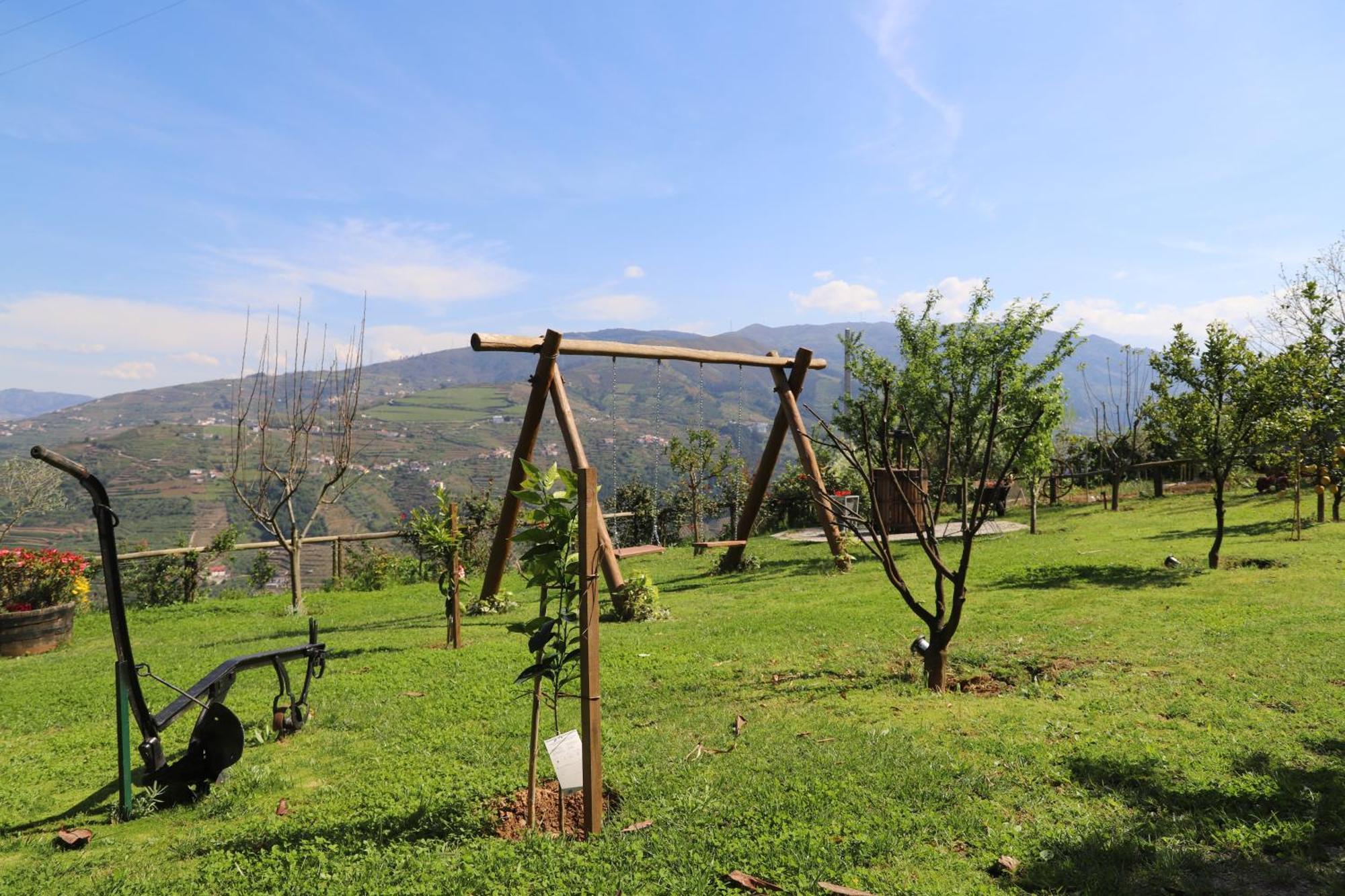 Bed and Breakfast Casa Vale Do Douro Мезан-Фриу Экстерьер фото